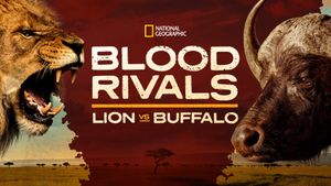 Blood Rivals: Lion vs Buffalo's poster