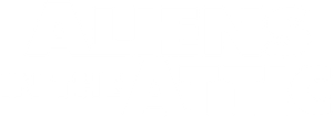 Aliens in the Attic's poster