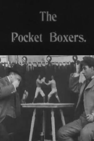Pocket Boxers's poster
