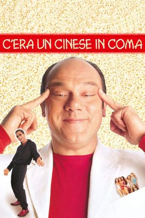 A Chinese in a Coma's poster