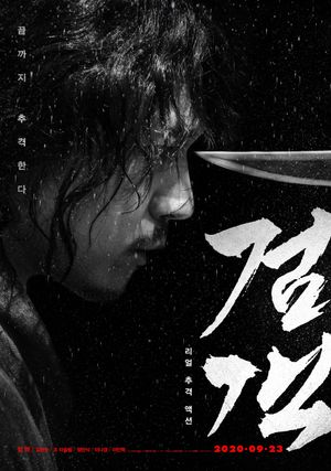 The Swordsman's poster