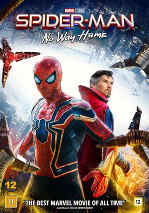 Spider-Man: No Way Home's poster