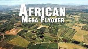African Megaflyover's poster