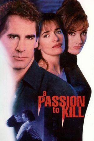 A Passion to Kill's poster image
