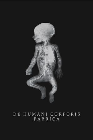 The Fabric of the Human Body's poster