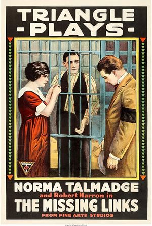 The Missing Links's poster