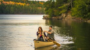 Backcountry's poster