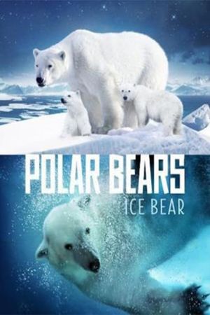 Polar Bears: Ice Bear's poster image