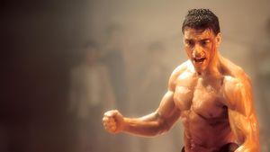 Kickboxer's poster
