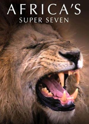 Africa's Super Seven's poster