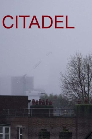 Citadel's poster