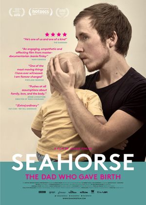 Seahorse's poster