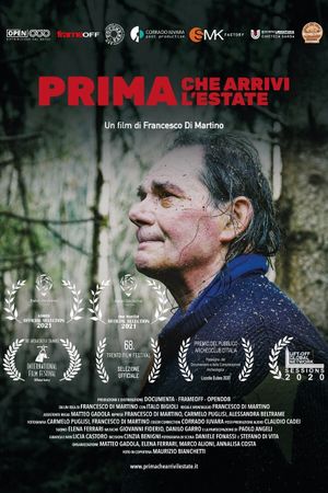Prima che arrivi l'estate's poster