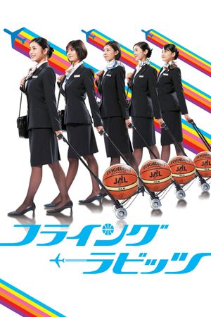 Flying Rabbits's poster image