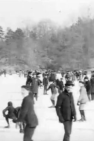 Skating in Central Park's poster