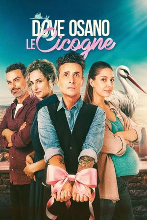 Dove osano le cicogne's poster