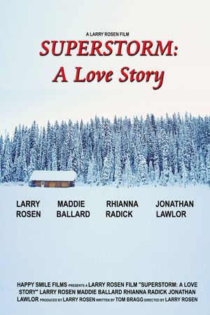 Superstorm: A Love Story's poster image