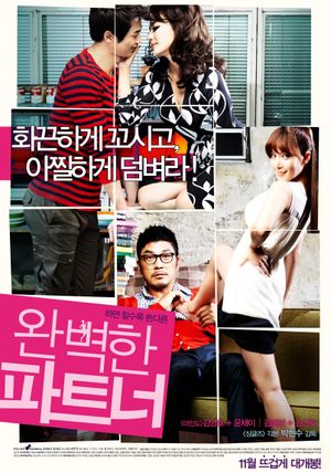 Perfect Partner's poster