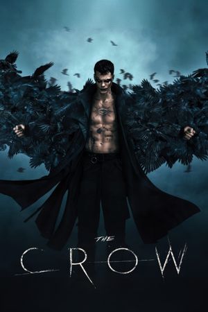 The Crow's poster
