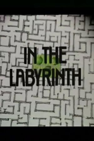 In the Labyrinth's poster