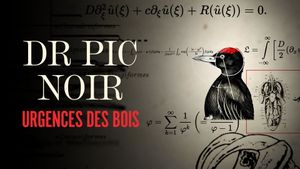 Dr Pic Noir, urgence des bois's poster