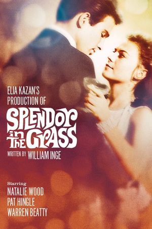 Splendor in the Grass's poster