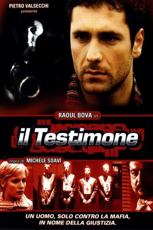 Il testimone's poster