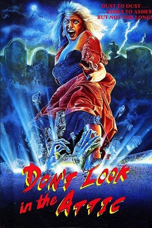 Don't Look in the Attic's poster