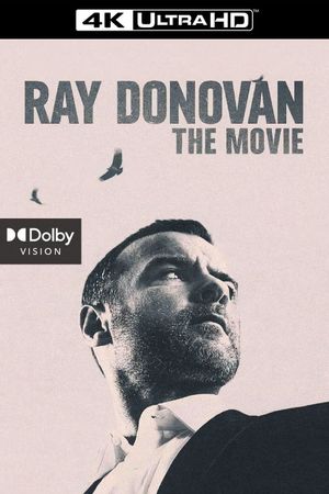 Ray Donovan: The Movie's poster