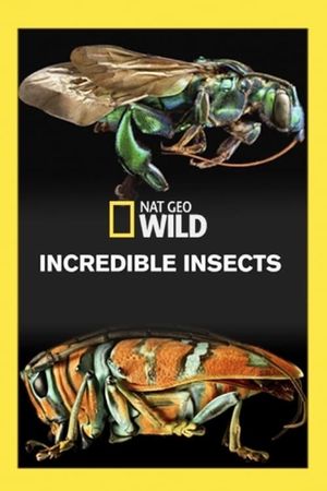 Incredible Bugs's poster