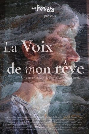 La voix de mon rêve's poster image