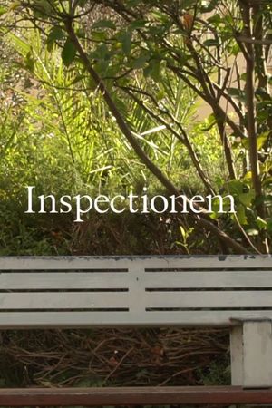 Inspectionem's poster