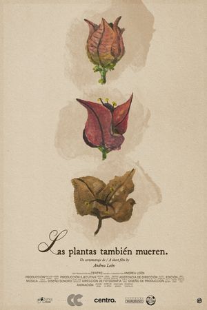 Las plantas también mueren's poster