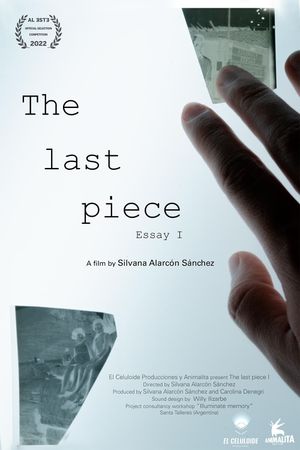 The Last Piece: Essay I's poster