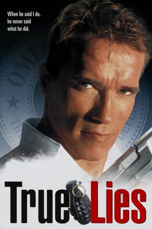True Lies's poster