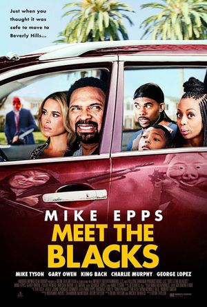 Meet the Blacks's poster