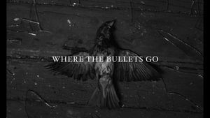 Where the Bullets Go's poster