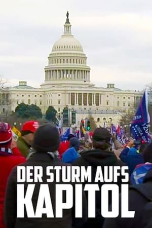 Der Sturm aufs Kapitol - Ein amerikanisches Trauma's poster image