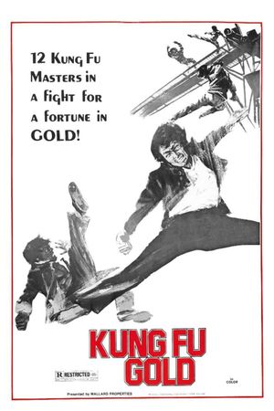 Kung Fu Gold's poster