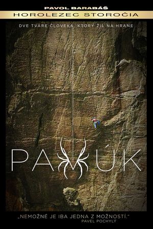 Pavúk's poster