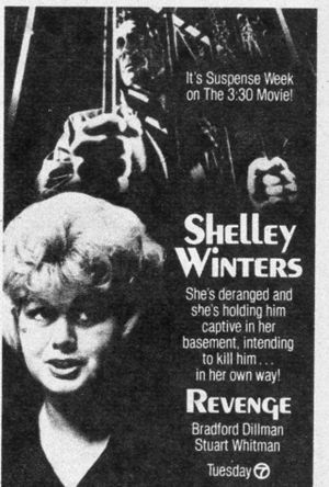 Revenge!'s poster