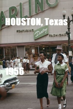 Houston, Texas's poster