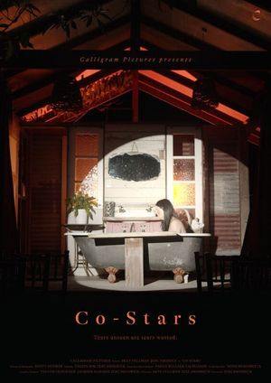 Co-Stars's poster image