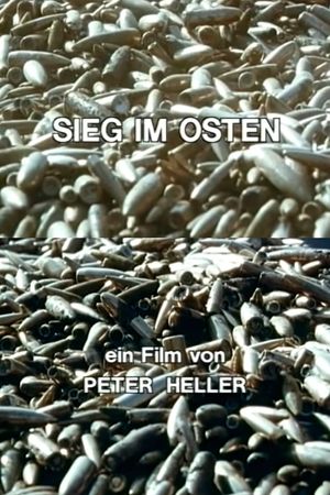 Sieg im Osten's poster