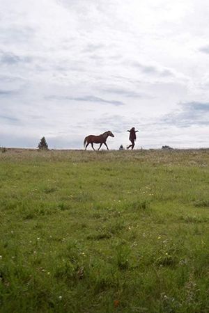 Herd's poster image