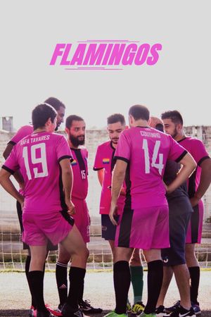 Flamingos's poster