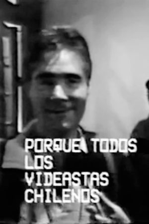 En busca del videasta perdido o Mister Off y el caso de las papas locas's poster