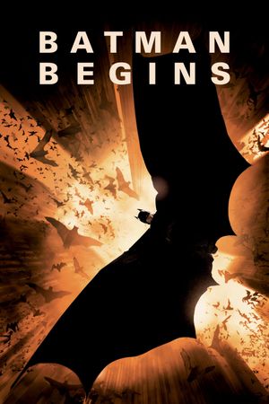 Batman Begins's poster image
