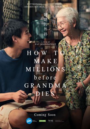 How to Make Millions Before Grandma Dies's poster