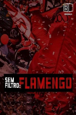 Sem Filtro: Flamengo's poster